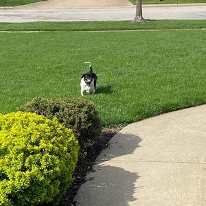 Meet your Posher, Jacqueline